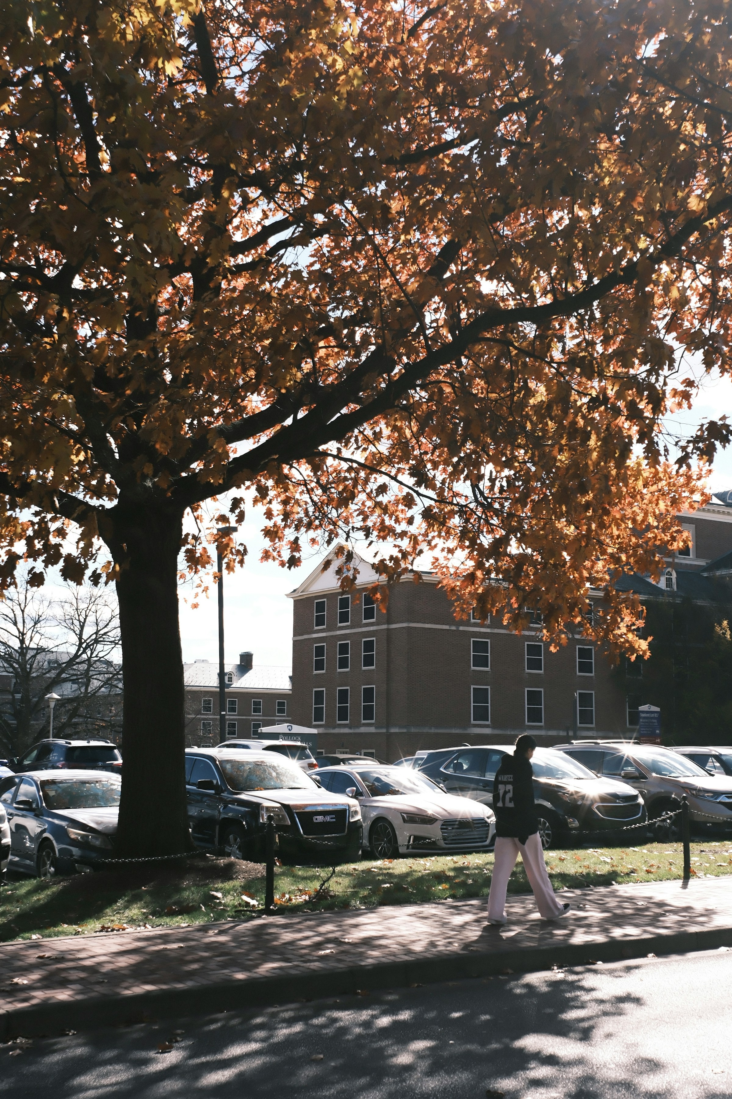 Campus parking